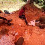 Fósseis de dinossauros são encontrados em Chapada dos Guimarães