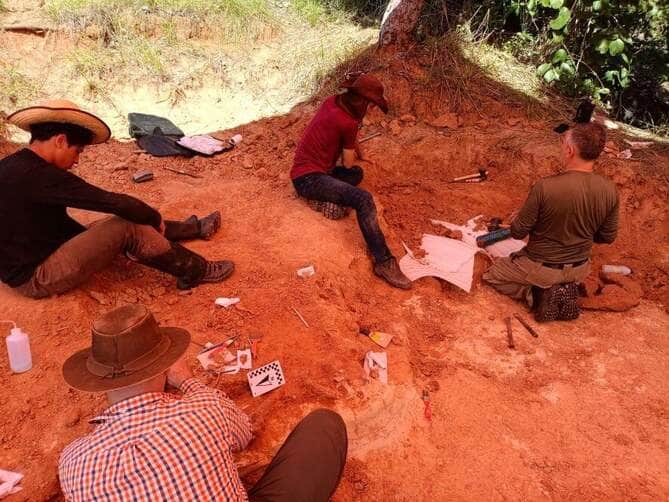 Fósseis de dinossauros são encontrados em Chapada dos Guimarães