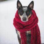 Capricórnio vibra com o frio, astral gelado e foco estratégico
