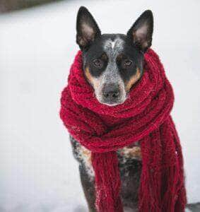 Capricórnio vibra com o frio, astral gelado e foco estratégico