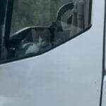 Vídeo encantador mostra o gato acompanhando o tutor na boleia e aproveitando a paisagem da rodovia como um verdadeiro copiloto de quatro patas