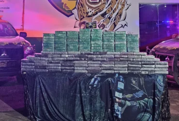 Gefron apreende cocaína e impõe prejuízo milionário ao tráfico