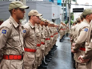 Mato Grosso abre seleção para brigadistas temporários