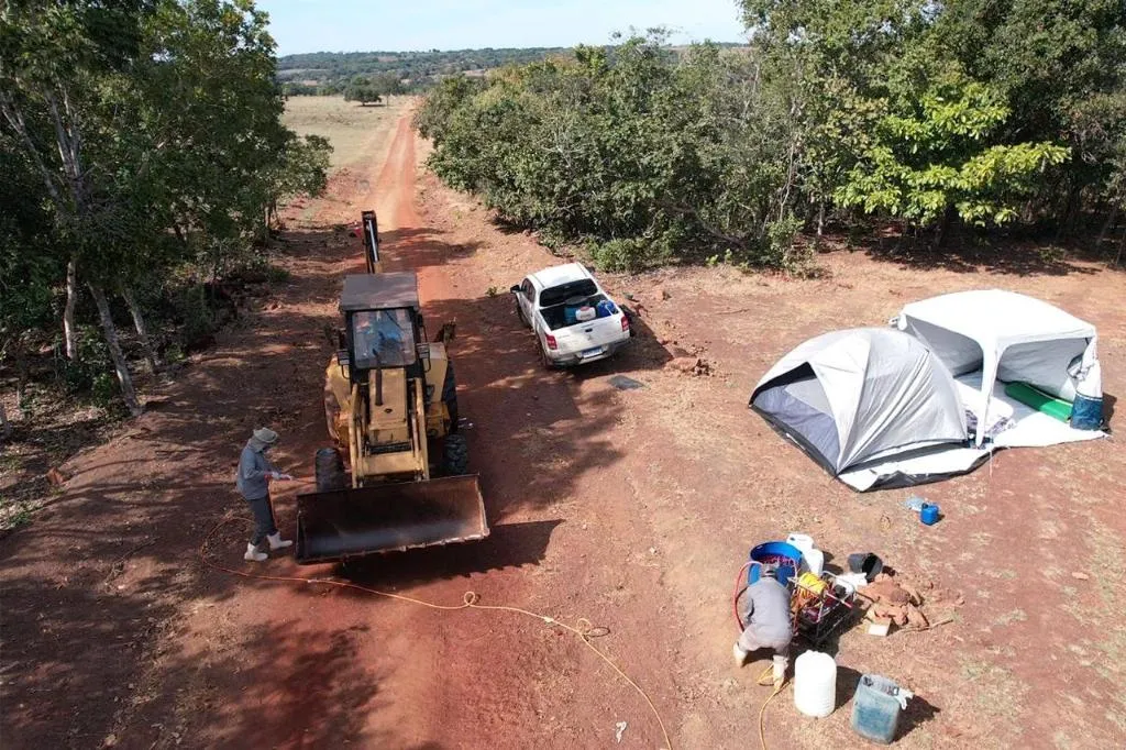 Governo de MT declara emergência após caso de gripe aviária