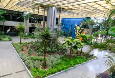 Governo de Mato Grosso lança CAR Digital 2.0 para agilizar regularização ambiental