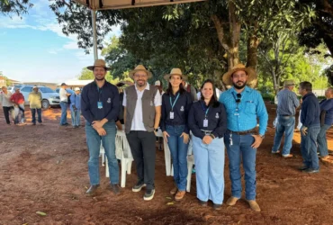 Agricultura destaca tecnologias para cafeicultura, cacau e banana