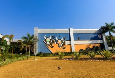 Nova lei sobre consignado altera regras e protege servidores em Mato Grosso