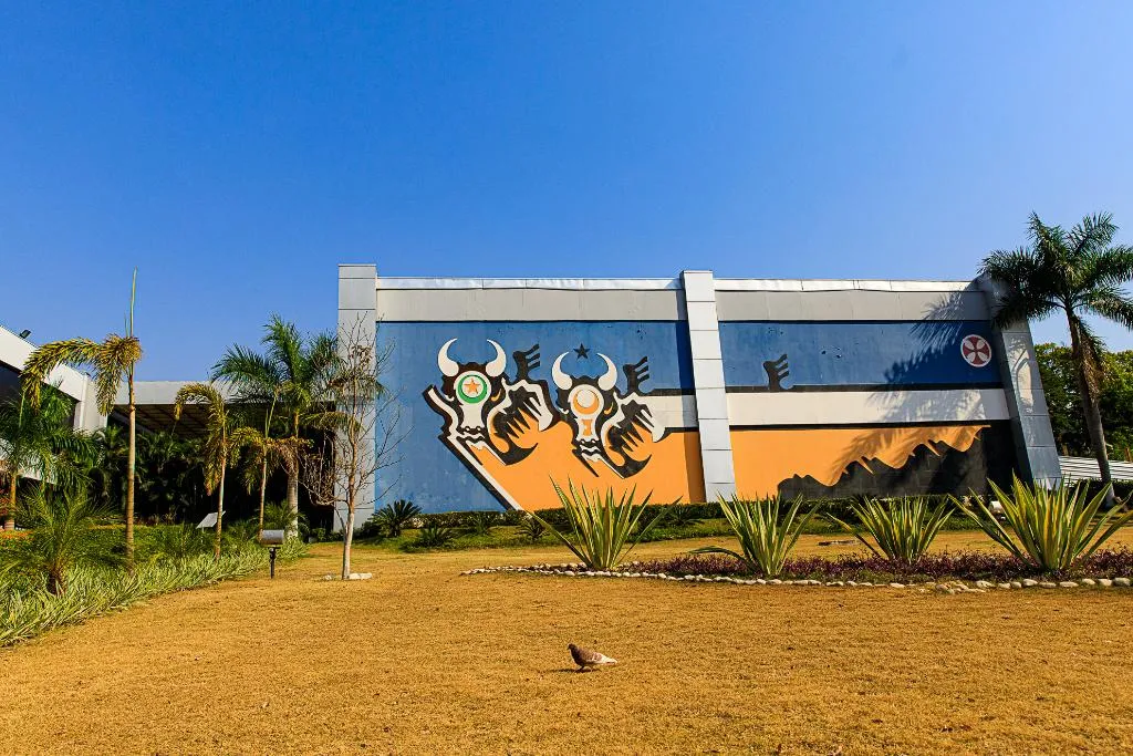 Nova lei sobre consignado altera regras e protege servidores em Mato Grosso