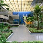 Governo sanciona lei de free shop em Cáceres com isenção de ICMS