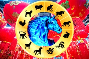 Horóscopo chinês