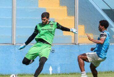 Paysandu x Botafogo-SP: onde assistir, prováveis escalações e tudo sobre o confronto decisivo na Série B. Imagem: Jorge Luís Totti Paysandu