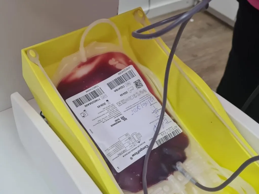 Hemocentro atende mais de 500 pacientes com doença falciforme