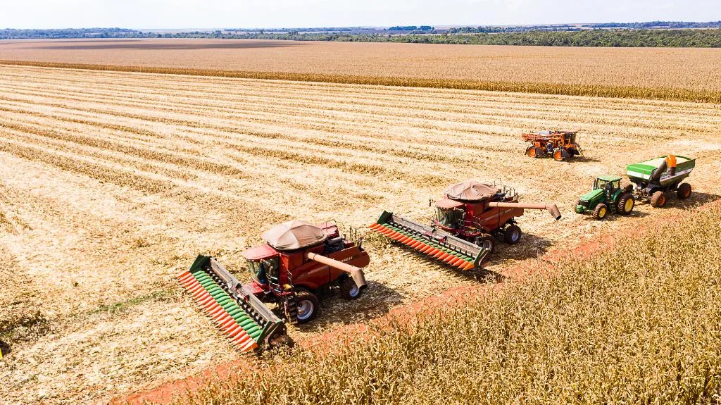 Produtividade do milho em Mato Grosso atinge recorde histórico em 2025