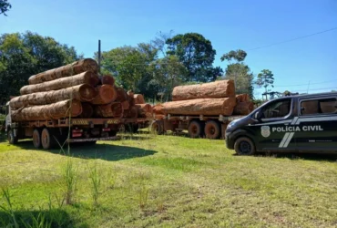 Polícia apreende madeira ilegal em Juína durante operação Cadeia Sustentável