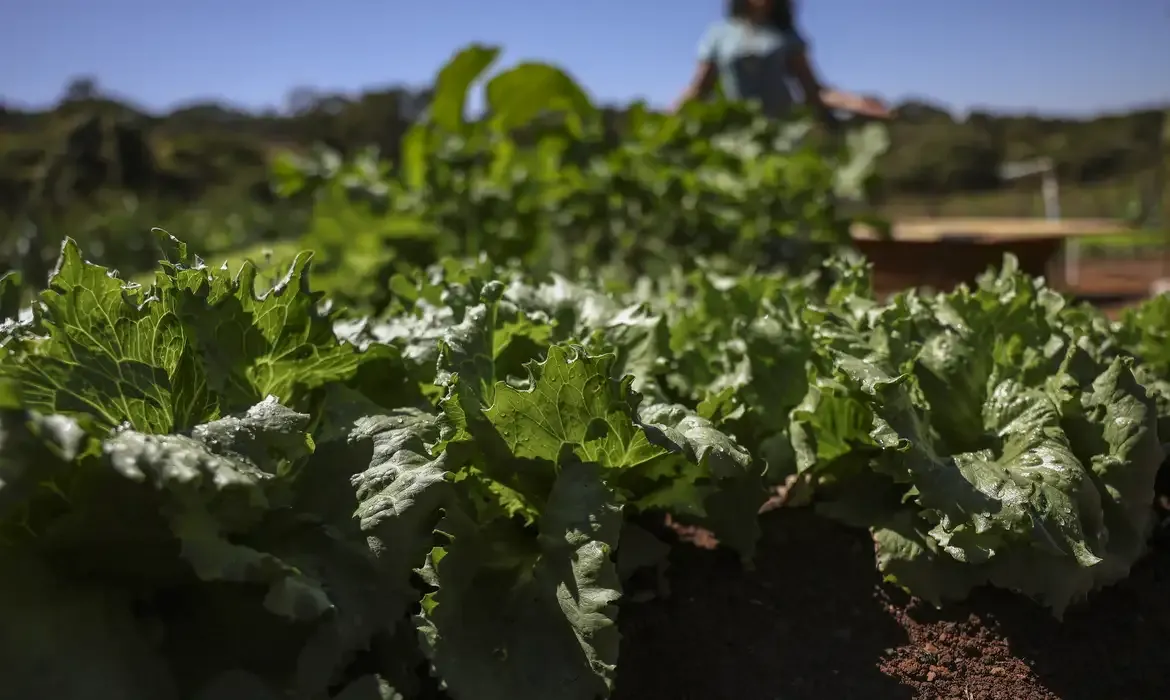Parceria garante R$ 299 milhões para fortalecer agricultura na Bahia