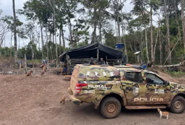 Patrulha resgata crianças vítimas de trabalho infantil em Juara