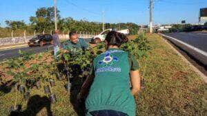 Pauta ambiental deixa de ser apenas um ato comemorativo em Várzea Grande