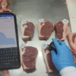 Pesquisa em Mato Grosso usa inteligência artificial para medir maciez da carne bovina em tempo real