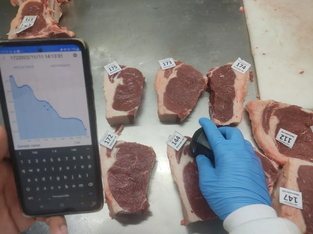 Pesquisa em Mato Grosso usa inteligência artificial para medir maciez da carne bovina em tempo real