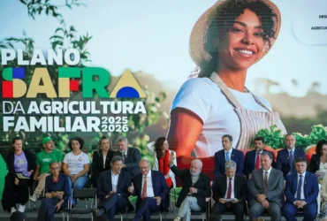 Governo anuncia R$ 89 bilhões no Plano Safra para fortalecer agricultura