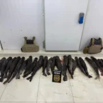 Polícia apreende 124 quilos de pescado ilegal escondido em plantação