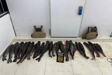 Polícia apreende 124 quilos de pescado ilegal escondido em plantação