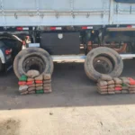 Polícia apreende skunk escondido em pneus de caminhão leiloado