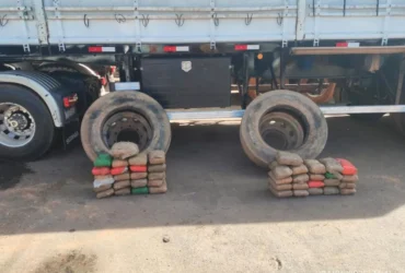 Polícia apreende skunk escondido em pneus de caminhão leiloado