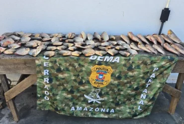 Polícia apreende pescado ilegal em residência de Cuiabá durante fiscalização