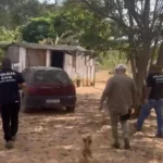 Polícia fecha depósito de drogas usado por facção em Rosário Oeste