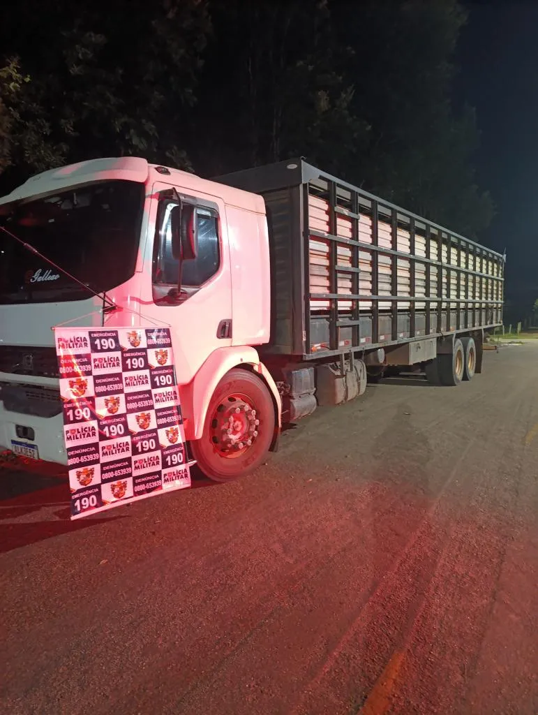 Polícia recupera 20 novilhas furtadas na MT-270 em Juscimeira