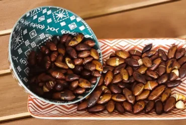 Redes comunitárias impulsionam restauração ambiental com sementes nativas