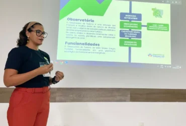 Sedec apresenta plataforma aérea com dados detalhados sobre turismo