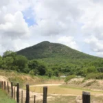 Investimentos internacionais impulsionam recuperação ambiental no Mato Grosso