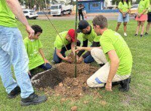 Sinop já plantou 3 mil mudas de árvores esse ano e se destaca na arborização urbana