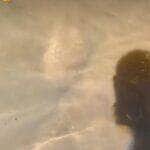 Biólogo explica que o animal é um nadador nato e pode permanecer submerso por minutos para escapar de predadores — uma verdadeira especialista em fuga aquática!