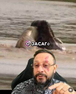 Onça-pintada dá aula de caçada e surpreende ao abater jacaré dentro d’água