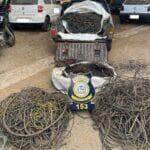Denúncia anônima levou agentes da Guarda Civil Municipal a flagrante; operação resultou na apreensão de mais de 100 kg de cobre queimado, fios novos e mais de R$ 3 mil em dinheiro