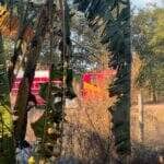 Ocorrências foram registradas nos bairros Pioneiro e Alvorada; chamas ameaçavam residência, mas foram rapidamente controladas