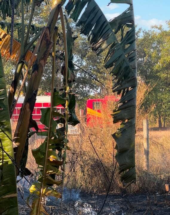 Ocorrências foram registradas nos bairros Pioneiro e Alvorada; chamas ameaçavam residência, mas foram rapidamente controladas