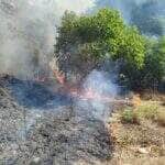 Fogo atingiu área de vegetação de 250 metros no bairro Pioneiro; ação rápida evitou danos a casas e à rede de abastecimento