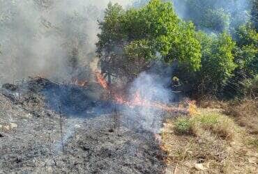 Fogo atingiu área de vegetação de 250 metros no bairro Pioneiro; ação rápida evitou danos a casas e à rede de abastecimento