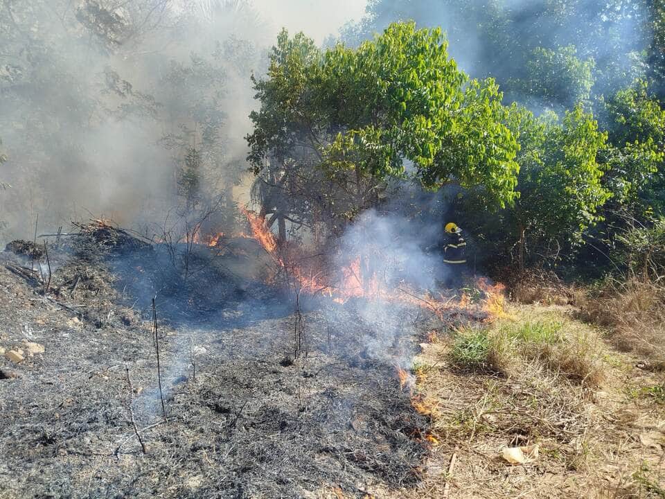 Fogo atingiu área de vegetação de 250 metros no bairro Pioneiro; ação rápida evitou danos a casas e à rede de abastecimento
