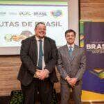 Brasil consolida acesso ao mercado chileno com a promoção do abacate hass e expansão do comércio bilateral