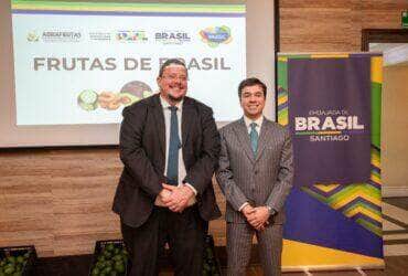 Brasil consolida acesso ao mercado chileno com a promoção do abacate hass e expansão do comércio bilateral