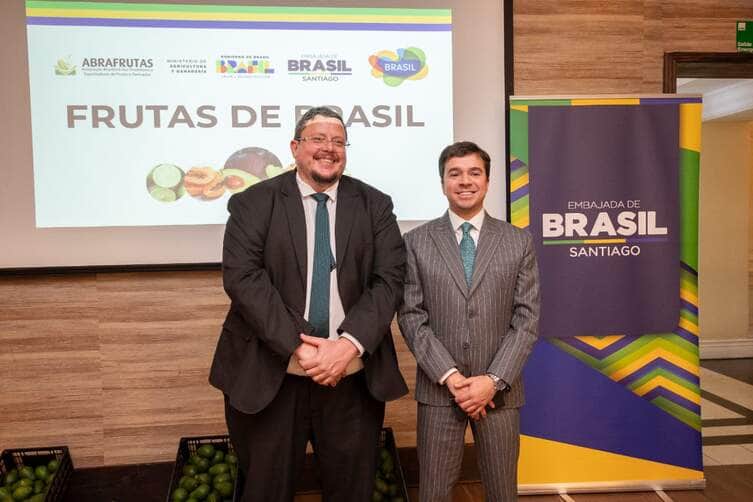 Brasil consolida acesso ao mercado chileno com a promoção do abacate hass e expansão do comércio bilateral