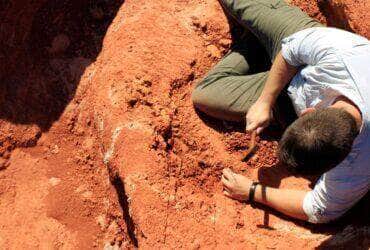 Descoberta de fóssil precursor dos pterossauros. Fotos do local da escavação - Buriol Site (São João do Polêsine, Brazil). Foto: Janaína Brand Dillmann