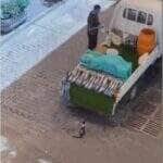 Enquanto o vendedor estava distraído, dupla de gatos arquitetou um verdadeiro golpe de mestre: o furto perfeito de um belo peixe fresco — e tudo foi registrado em vídeo