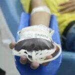 Campanha de doação de sangue no Instituto Estadual de Hematologia do Rio de Janeiro - Hemorio