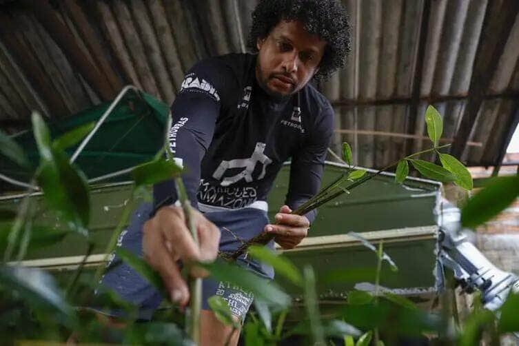 Fernando Frazão/Agência Brasil Bragança (PA), 13/06/2025 – O gestor do projeto Mangues da Amazônia, John Gomes, com mudas de mangue que serão levadas para reflorestamento. Foto: Fernando Frazão/Agência Brasil